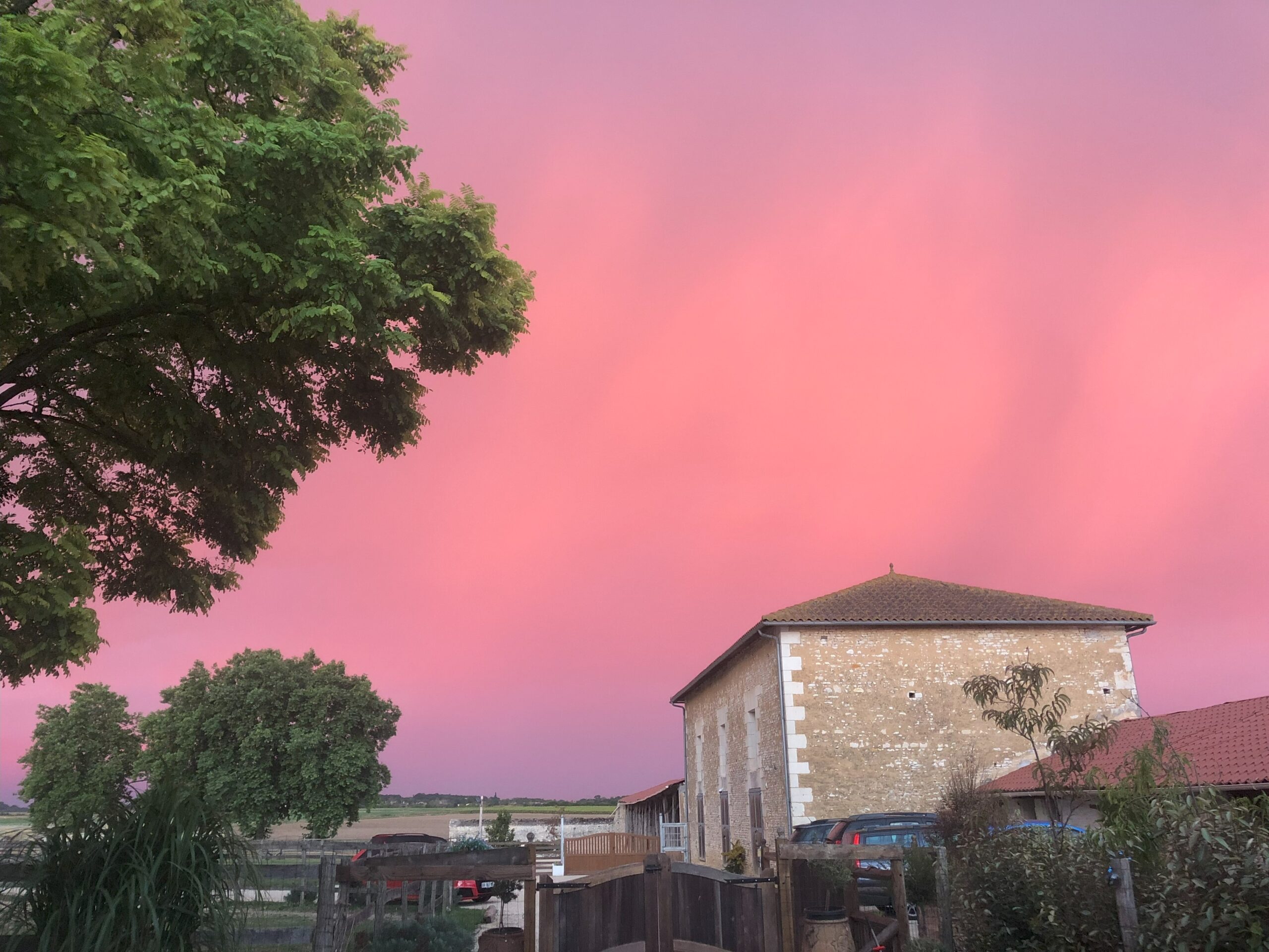 Gallery_evening