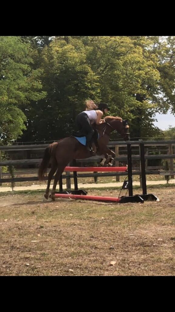 Rory poney compétition galop 5 EquiEnglish Vienne