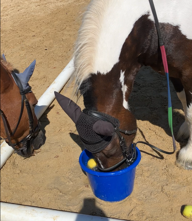 apple bobbing