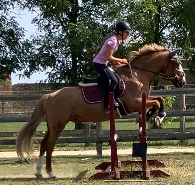 buster jumping 2