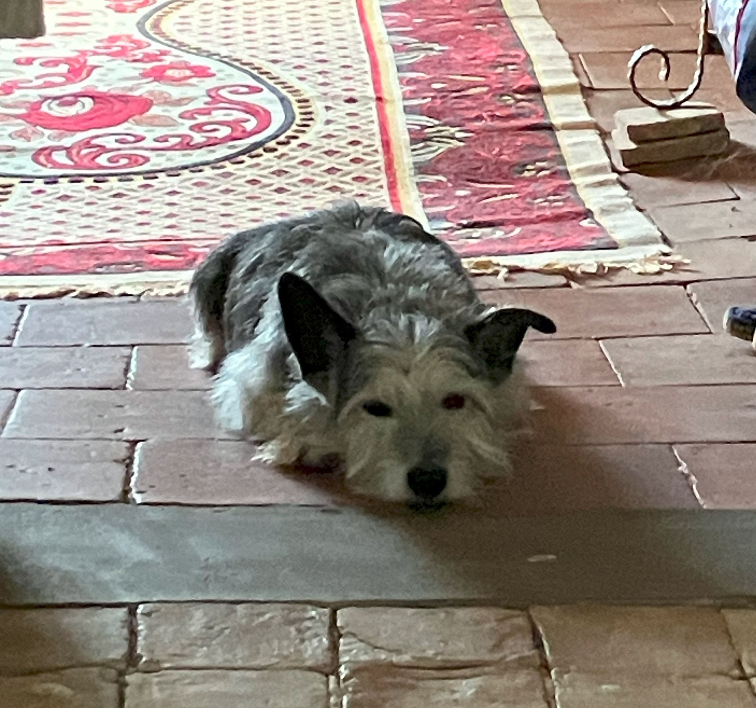 stan