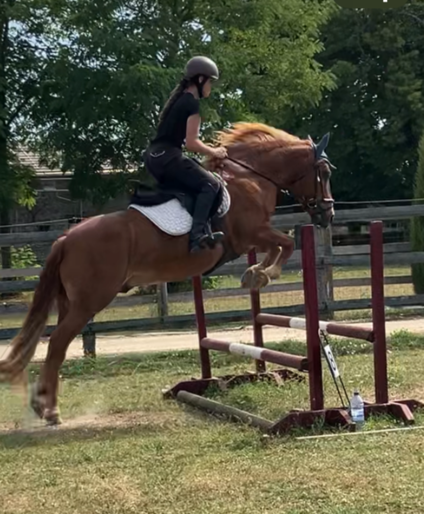 Swing poney débutants galop séjour équestre Vienne