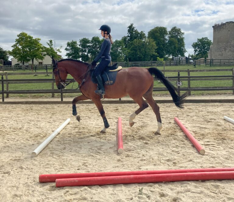Saut d'obstacles pendant un séjour équitation