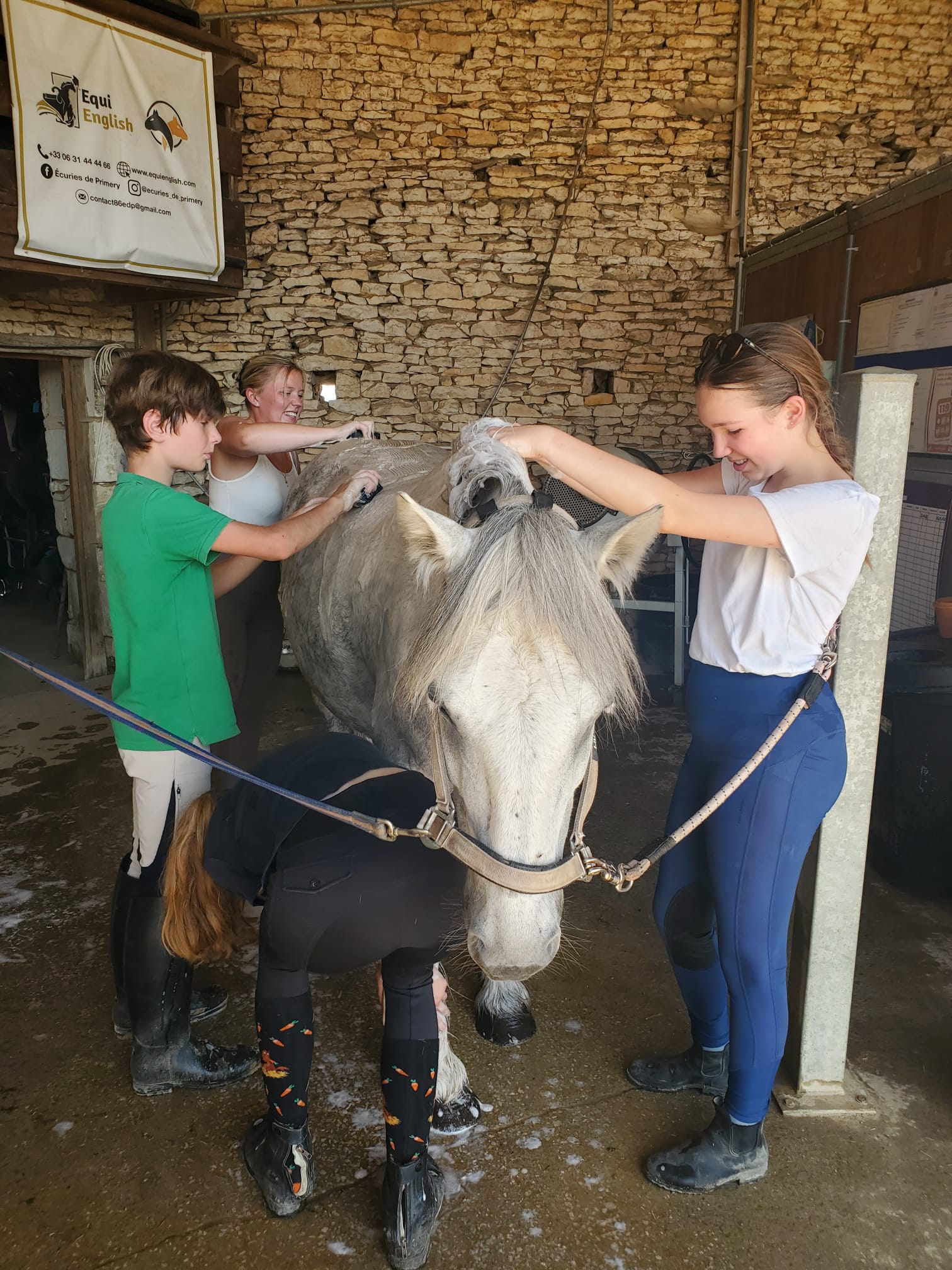 Jeunes cavalières qui pansent un cheval à l'écurie EquiEnglish