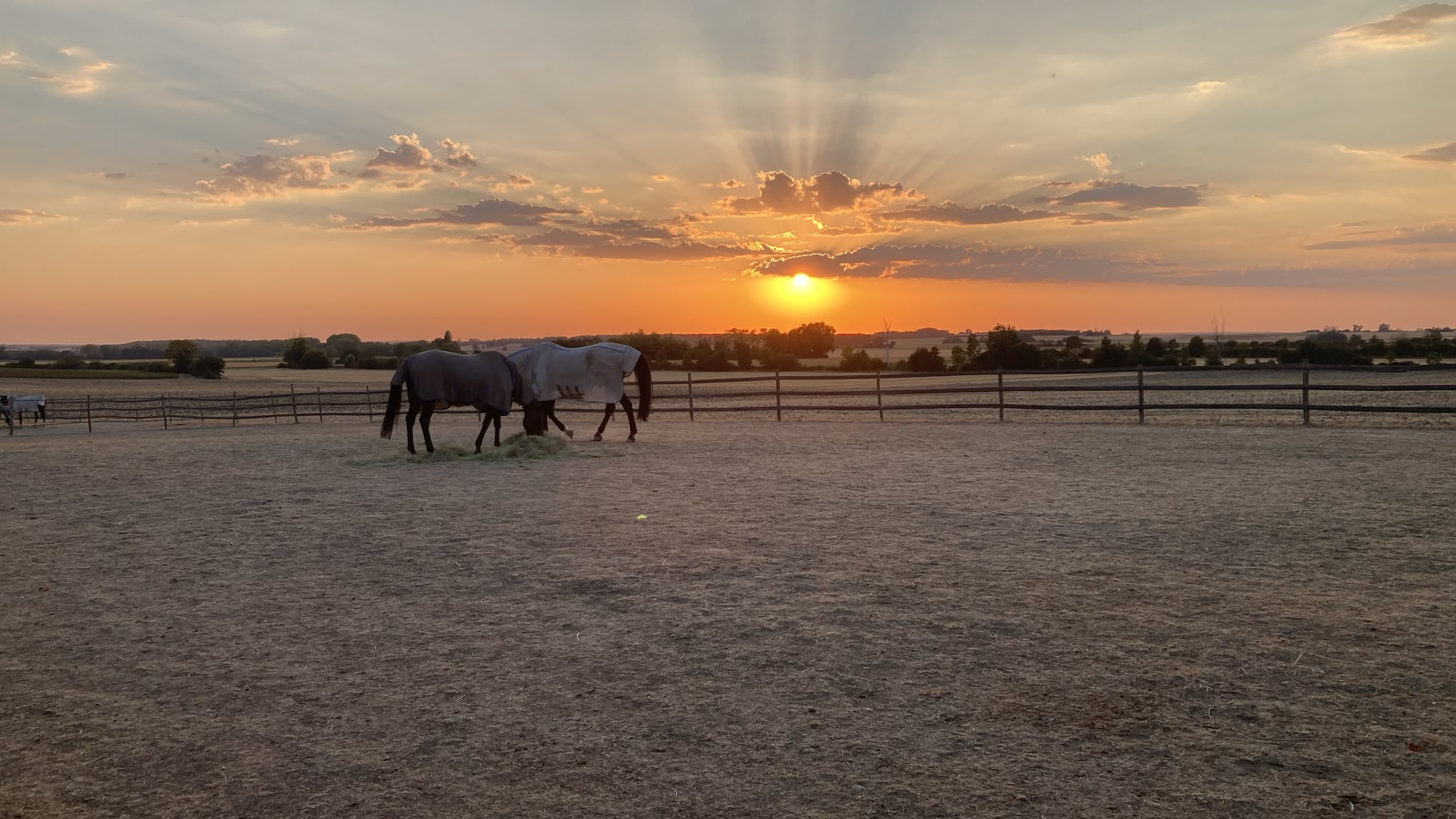 Jeunes cavaliers à cheval dans la campagne chez EquiEnglish, Vienne