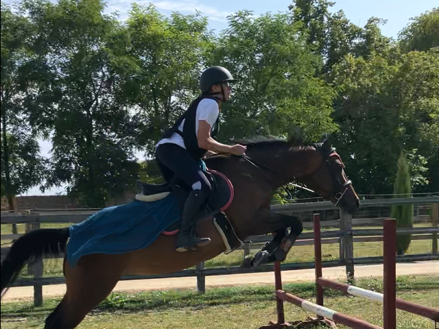 Saut d'obstacles pendant le séjour équestre