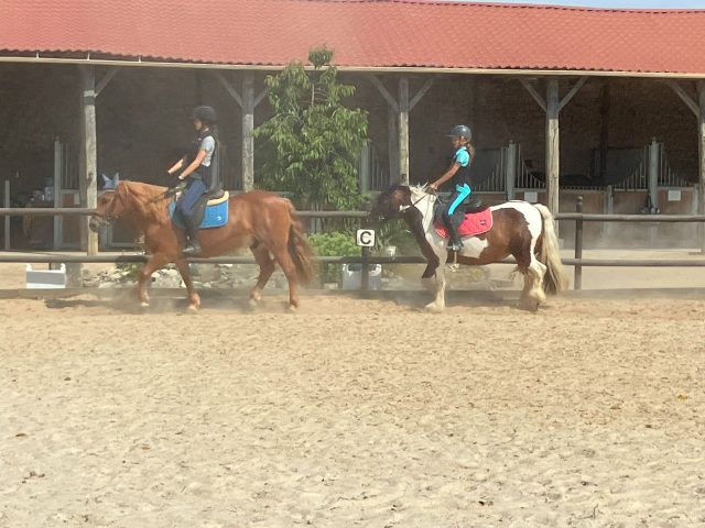 Cavalière avec le cheval Swing