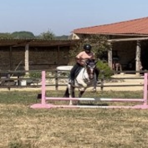 Summer Week 3