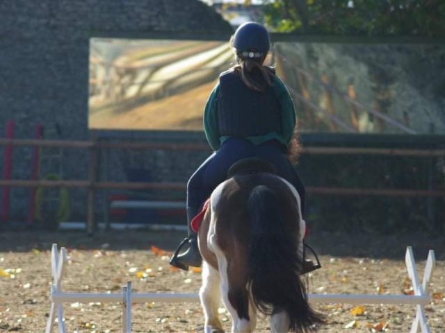 Soins aux chevaux pendant le week-end