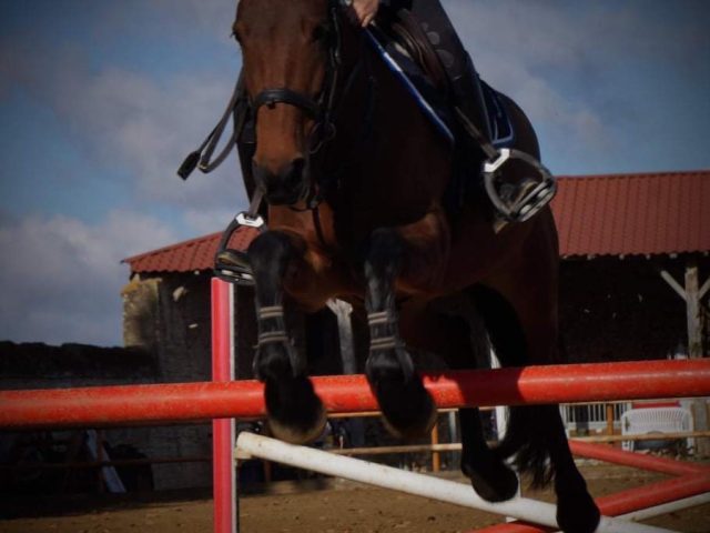 Cavalière et son cheval au centre équestre EquiEnglish